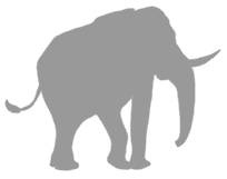 Иллюстрация к книге — Слон [i_027.jpg]