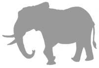 Иллюстрация к книге — Слон [i_034.jpg]