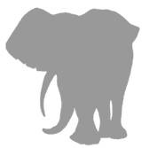 Иллюстрация к книге — Слон [i_043.jpg]