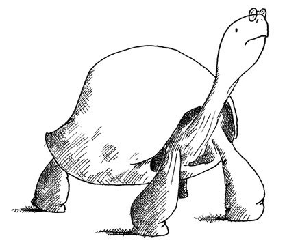 Иллюстрация к книге — Слон [i_048.jpg]