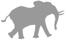 Иллюстрация к книге — Слон [i_049.jpg]