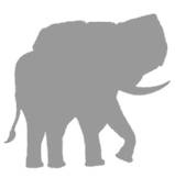 Иллюстрация к книге — Слон [i_051.jpg]