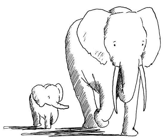 Иллюстрация к книге — Слон [i_054.jpg]