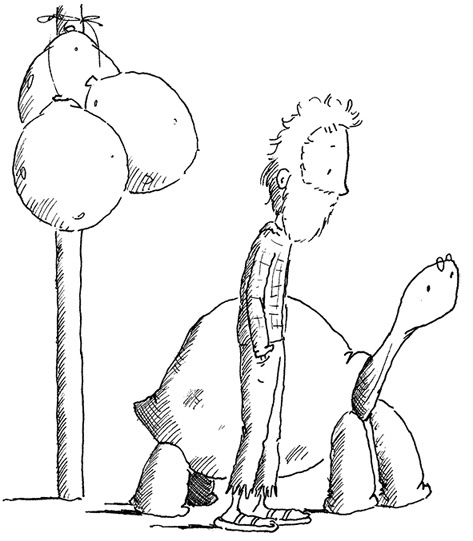 Иллюстрация к книге — Слон [i_057.jpg]