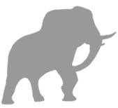 Иллюстрация к книге — Слон [i_067.jpg]