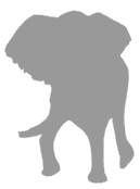 Иллюстрация к книге — Слон [i_072.jpg]