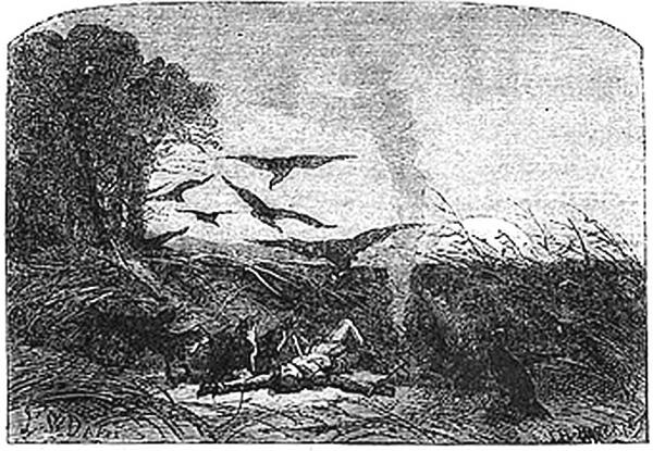 Иллюстрация к книге — Отважная охотница [i_003.jpg]