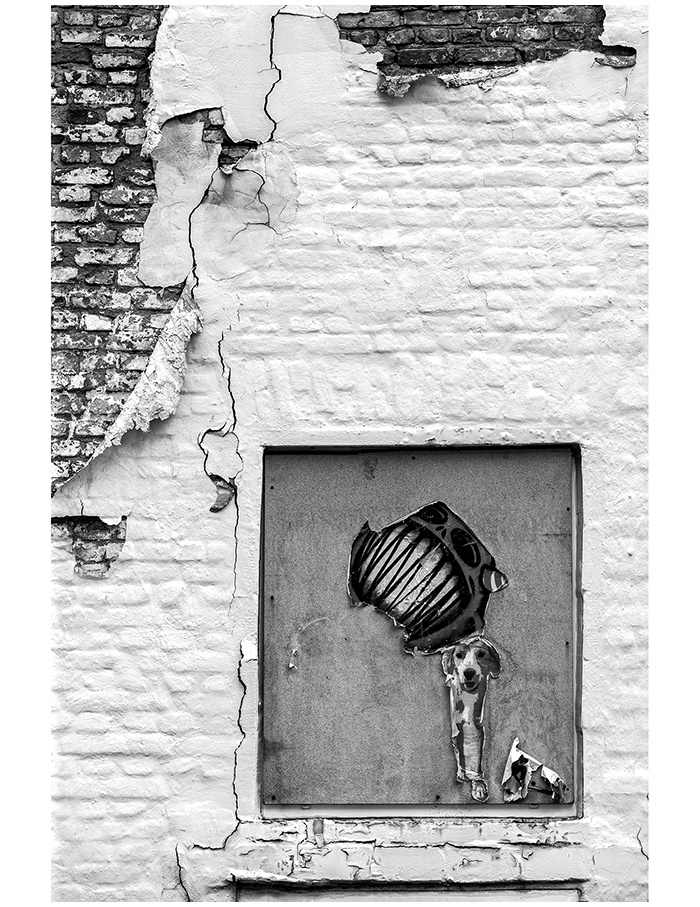 Иллюстрация к книге — Вопросы — это ответы [i_006.jpg]