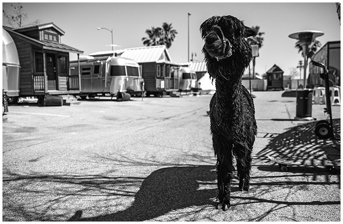 Иллюстрация к книге — Вопросы — это ответы [i_010.jpg]