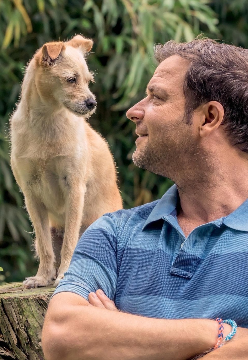 Иллюстрация к книге — Идеальная собака не выгуливает хозяина. Как воспитать собаку без вредных привычек [i_001.jpg]