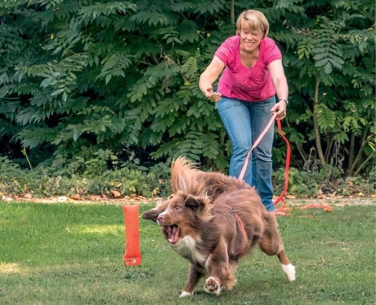 Иллюстрация к книге — Идеальная собака не выгуливает хозяина. Как воспитать собаку без вредных привычек [i_015.jpg]