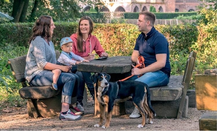 Иллюстрация к книге — Идеальная собака не выгуливает хозяина. Как воспитать собаку без вредных привычек [i_017.jpg]