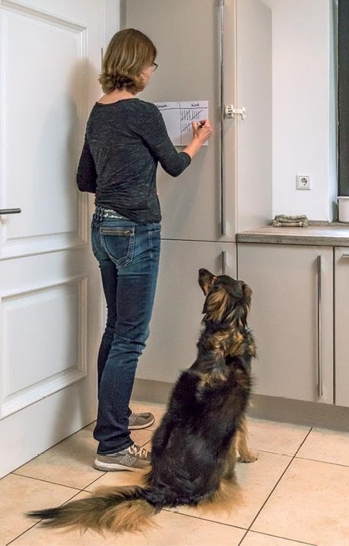 Иллюстрация к книге — Идеальная собака не выгуливает хозяина. Как воспитать собаку без вредных привычек [i_018.jpg]