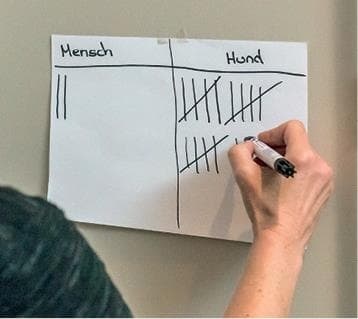 Иллюстрация к книге — Идеальная собака не выгуливает хозяина. Как воспитать собаку без вредных привычек [i_019.jpg]