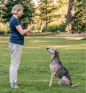 Иллюстрация к книге — Идеальная собака не выгуливает хозяина. Как воспитать собаку без вредных привычек [i_020.jpg]