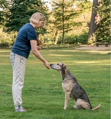 Иллюстрация к книге — Идеальная собака не выгуливает хозяина. Как воспитать собаку без вредных привычек [i_021.jpg]