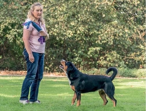 Иллюстрация к книге — Идеальная собака не выгуливает хозяина. Как воспитать собаку без вредных привычек [i_022.jpg]