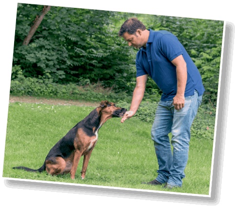 Иллюстрация к книге — Идеальная собака не выгуливает хозяина. Как воспитать собаку без вредных привычек [i_023.jpg]