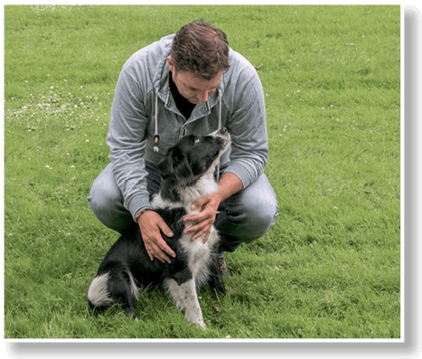 Иллюстрация к книге — Идеальная собака не выгуливает хозяина. Как воспитать собаку без вредных привычек [i_024.jpg]