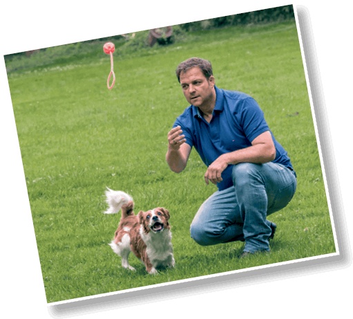 Иллюстрация к книге — Идеальная собака не выгуливает хозяина. Как воспитать собаку без вредных привычек [i_025.jpg]