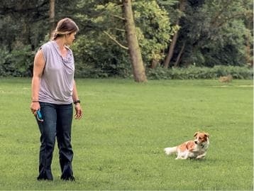 Иллюстрация к книге — Идеальная собака не выгуливает хозяина. Как воспитать собаку без вредных привычек [i_026.jpg]