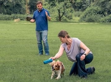 Иллюстрация к книге — Идеальная собака не выгуливает хозяина. Как воспитать собаку без вредных привычек [i_028.jpg]