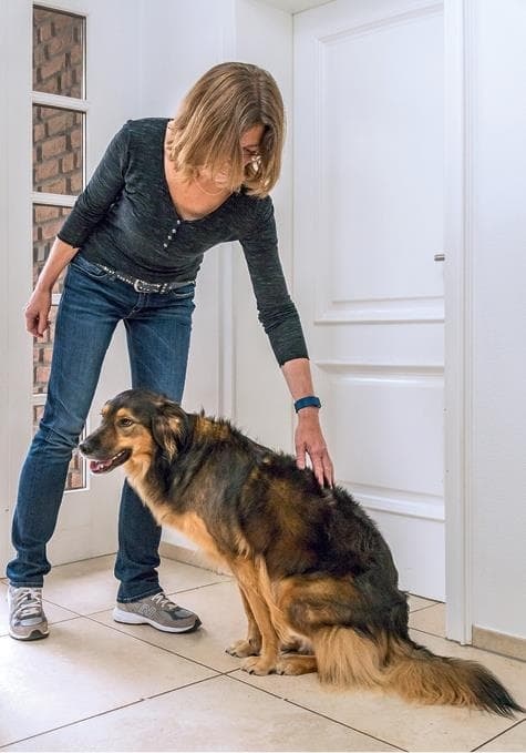 Иллюстрация к книге — Идеальная собака не выгуливает хозяина. Как воспитать собаку без вредных привычек [i_042.jpg]