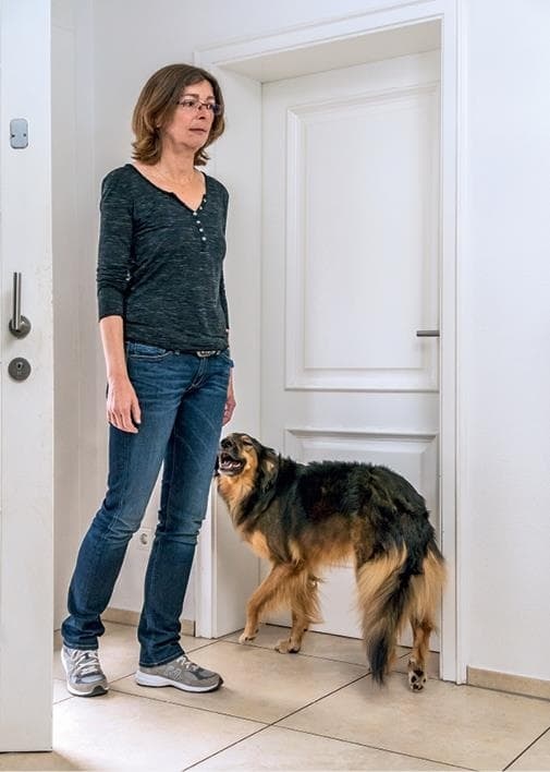 Иллюстрация к книге — Идеальная собака не выгуливает хозяина. Как воспитать собаку без вредных привычек [i_043.jpg]