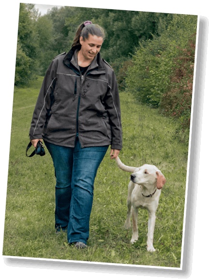 Иллюстрация к книге — Идеальная собака не выгуливает хозяина. Как воспитать собаку без вредных привычек [i_050.jpg]