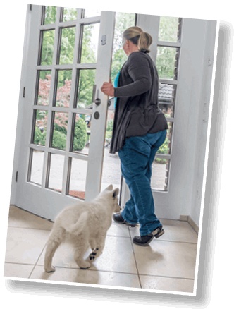 Иллюстрация к книге — Идеальная собака не выгуливает хозяина. Как воспитать собаку без вредных привычек [i_059.jpg]