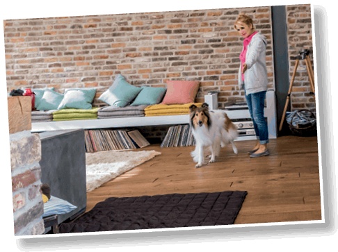 Иллюстрация к книге — Идеальная собака не выгуливает хозяина. Как воспитать собаку без вредных привычек [i_068.jpg]