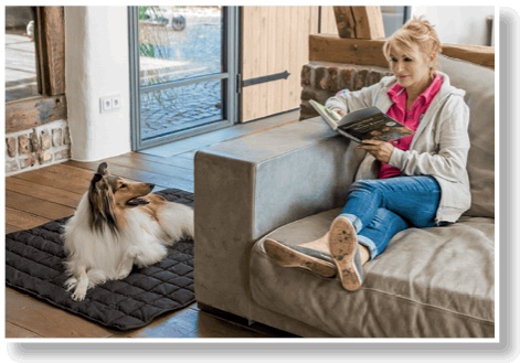 Иллюстрация к книге — Идеальная собака не выгуливает хозяина. Как воспитать собаку без вредных привычек [i_070.jpg]