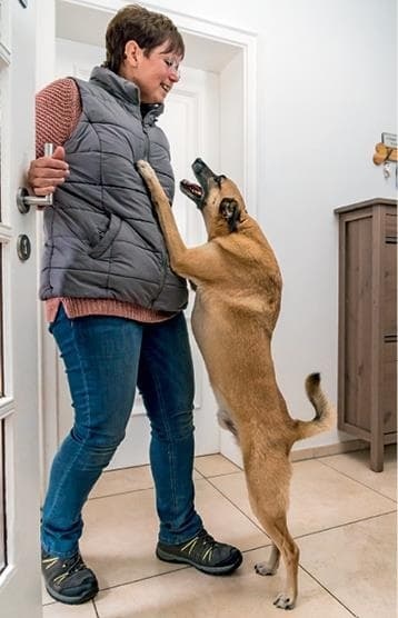 Иллюстрация к книге — Идеальная собака не выгуливает хозяина. Как воспитать собаку без вредных привычек [i_079.jpg]