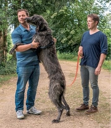 Иллюстрация к книге — Идеальная собака не выгуливает хозяина. Как воспитать собаку без вредных привычек [i_081.jpg]