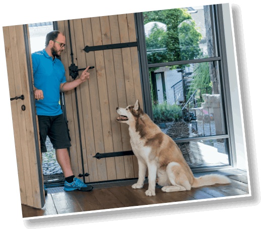 Иллюстрация к книге — Идеальная собака не выгуливает хозяина. Как воспитать собаку без вредных привычек [i_083.jpg]