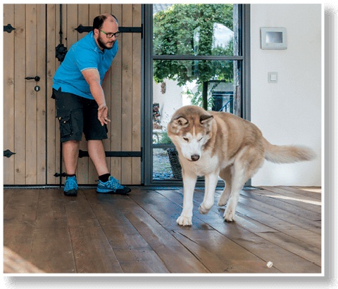 Иллюстрация к книге — Идеальная собака не выгуливает хозяина. Как воспитать собаку без вредных привычек [i_084.jpg]