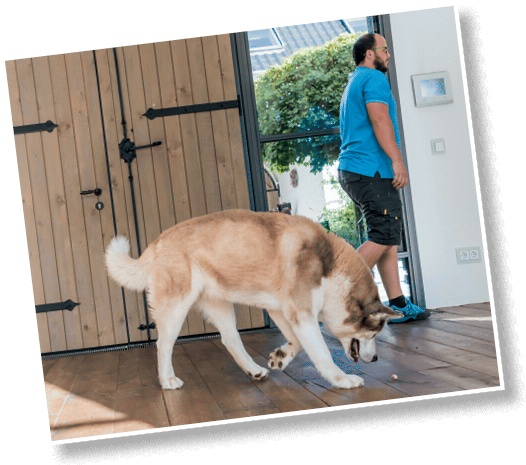 Иллюстрация к книге — Идеальная собака не выгуливает хозяина. Как воспитать собаку без вредных привычек [i_085.jpg]