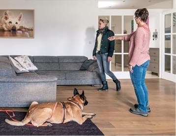 Иллюстрация к книге — Идеальная собака не выгуливает хозяина. Как воспитать собаку без вредных привычек [i_086.jpg]