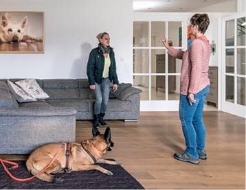 Иллюстрация к книге — Идеальная собака не выгуливает хозяина. Как воспитать собаку без вредных привычек [i_087.jpg]