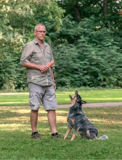 Иллюстрация к книге — Идеальная собака не выгуливает хозяина. Как воспитать собаку без вредных привычек [i_097.jpg]