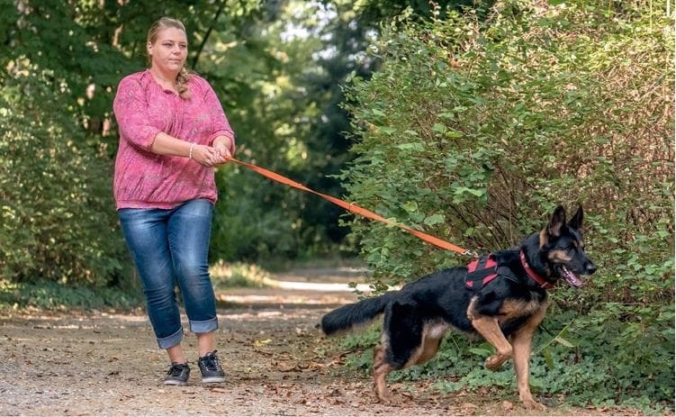 Иллюстрация к книге — Идеальная собака не выгуливает хозяина. Как воспитать собаку без вредных привычек [i_107.jpg]