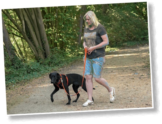 Иллюстрация к книге — Идеальная собака не выгуливает хозяина. Как воспитать собаку без вредных привычек [i_110.jpg]