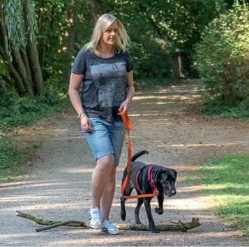 Иллюстрация к книге — Идеальная собака не выгуливает хозяина. Как воспитать собаку без вредных привычек [i_116.jpg]