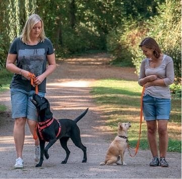 Иллюстрация к книге — Идеальная собака не выгуливает хозяина. Как воспитать собаку без вредных привычек [i_117.jpg]