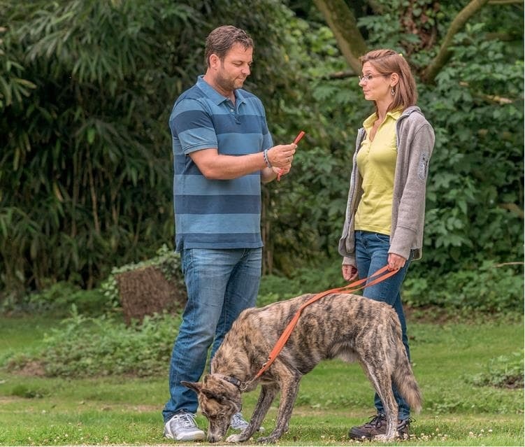 Иллюстрация к книге — Идеальная собака не выгуливает хозяина. Как воспитать собаку без вредных привычек [i_131.jpg]