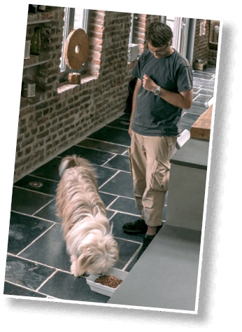 Иллюстрация к книге — Идеальная собака не выгуливает хозяина. Как воспитать собаку без вредных привычек [i_142.jpg]