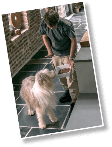 Иллюстрация к книге — Идеальная собака не выгуливает хозяина. Как воспитать собаку без вредных привычек [i_143.jpg]