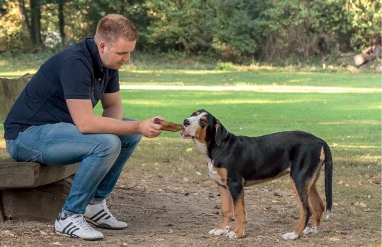 Иллюстрация к книге — Идеальная собака не выгуливает хозяина. Как воспитать собаку без вредных привычек [i_155.jpg]