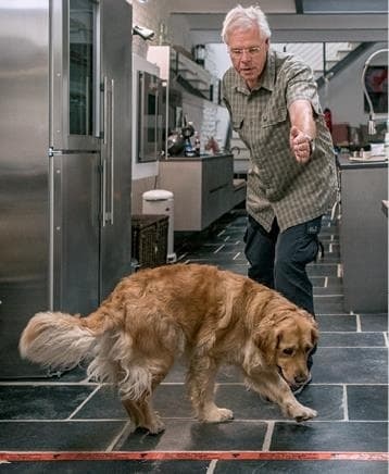 Иллюстрация к книге — Идеальная собака не выгуливает хозяина. Как воспитать собаку без вредных привычек [i_160.jpg]