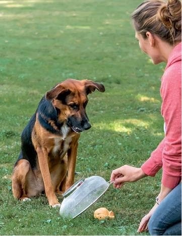 Иллюстрация к книге — Идеальная собака не выгуливает хозяина. Как воспитать собаку без вредных привычек [i_189.jpg]